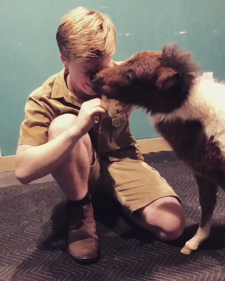 jackbacon10 (@jackbacon101) on Twitter photo 2019-05-02 03:47:54 Backstage with my new best friend in the world, Lil’ Sebastian 😆 Backstage with my new best friend in the world, Lil’ Sebastian 😆
