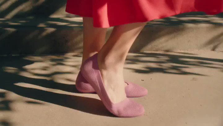 all bird tree breezers