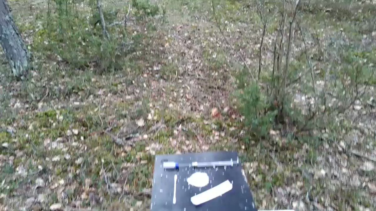 Wow, we got the winter back! Try doing egg hormone #manipulations while it starts to snow :)#onlyinFinland #ornithology #fieldwork