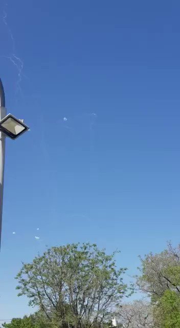 Embedded video