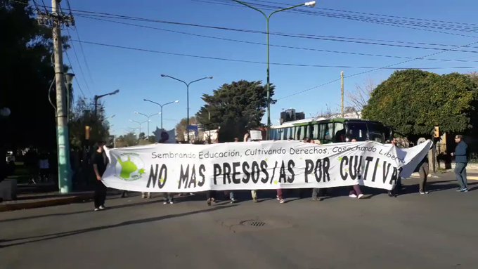 Video insertado