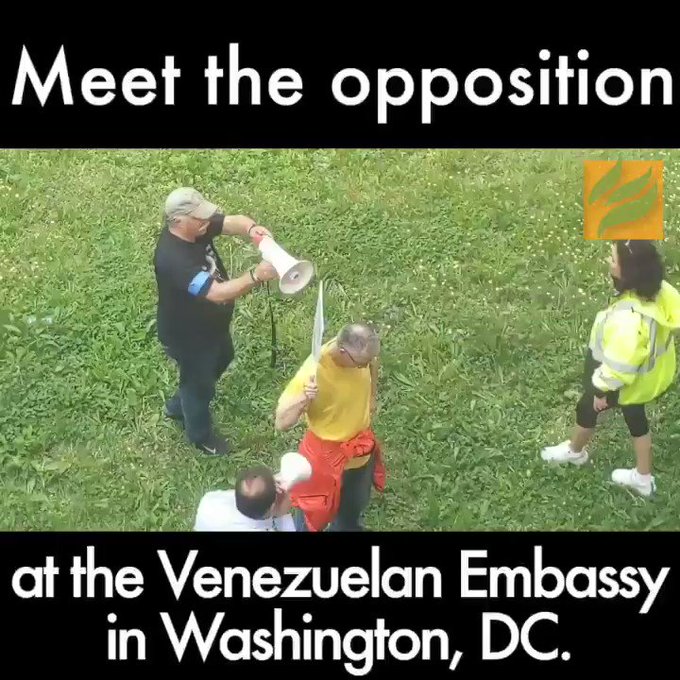 Embedded video