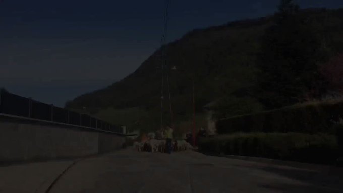 Video insertado