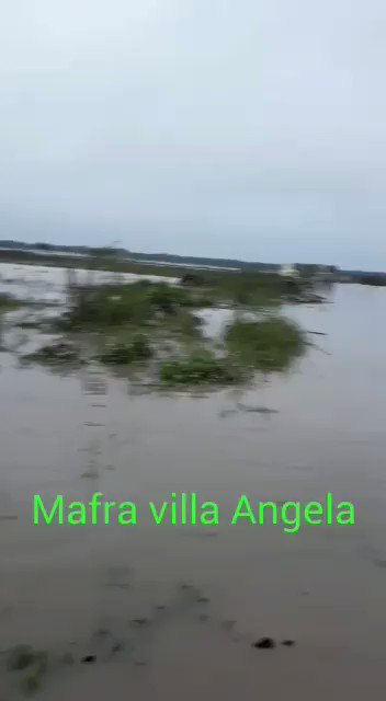Video insertado