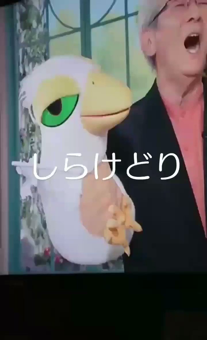 しらけどり しらけどり