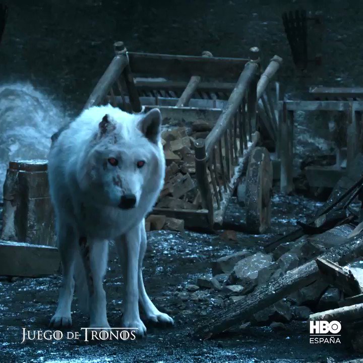 1 RT = 1 caricia para Fantasma 🐺