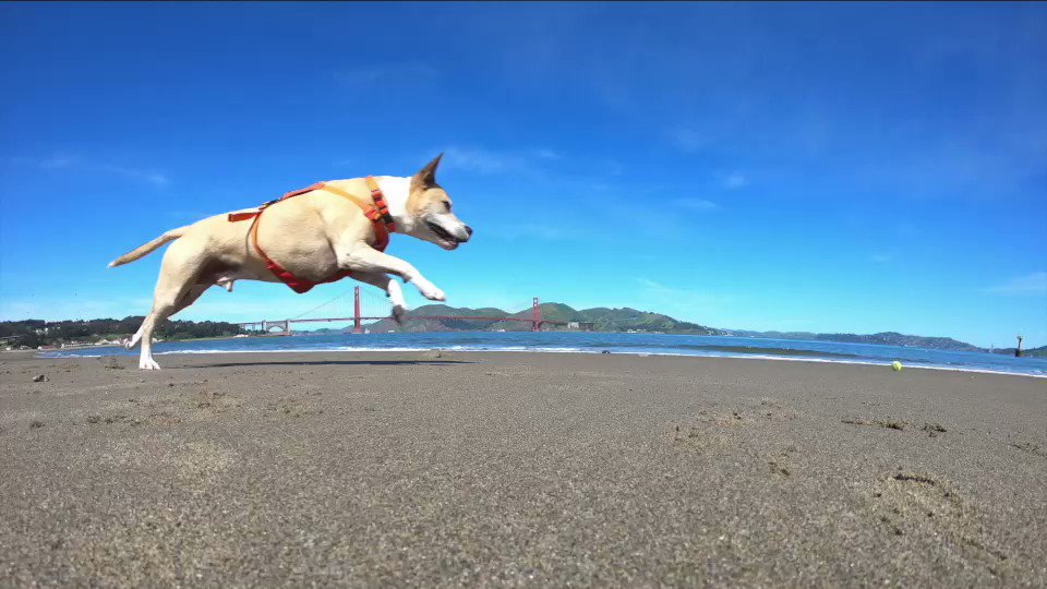Coconut Cam's photo on GoPro