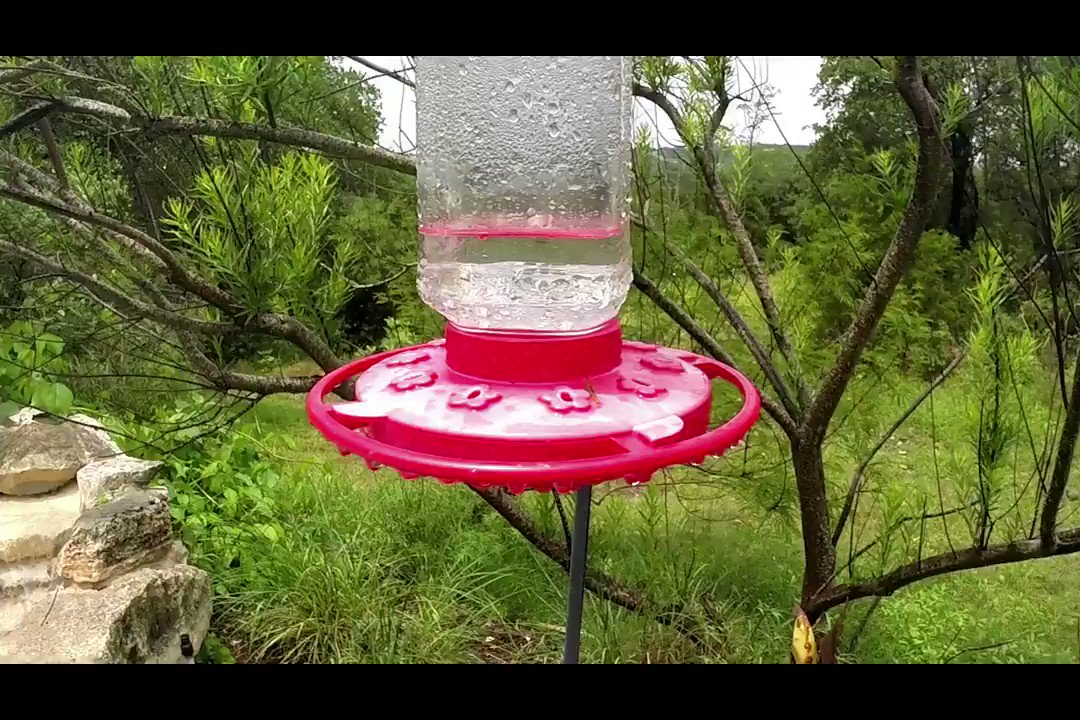 TexasBirder's photo on GoPro