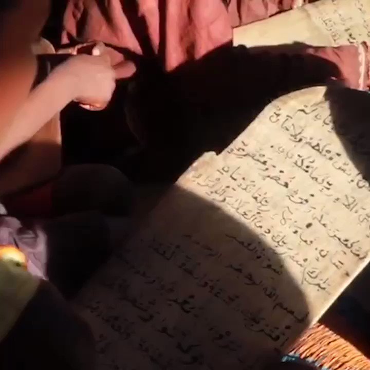 معاً لنشر كتاب الله تعالى.. ساهم معنا في إيصال المصحف إلى ملايين البشر؛ الذين ينتظرونه.. تكلفة طباعة المصحف: 1 دينار. قيمة السهم: 10 دينار. رابط التبرع https://bit.ly/30e8FmQ