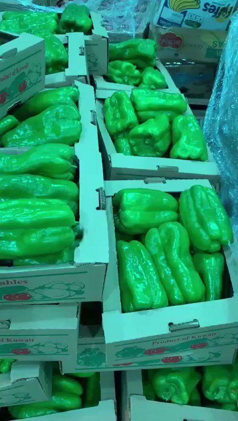 الله يكون بعونكم مزارعين يد وحده ، ماشفتوا اللي عندنا من ينزل سعر السوق راح وهاجم السعوديين وترك الاجانب ، والمشكله ان سعر الكوسه نزل العام وقعد يصايح واشتراه منه الدلال وعوضه وعايشين ع نظام عوضن والا تكلمت