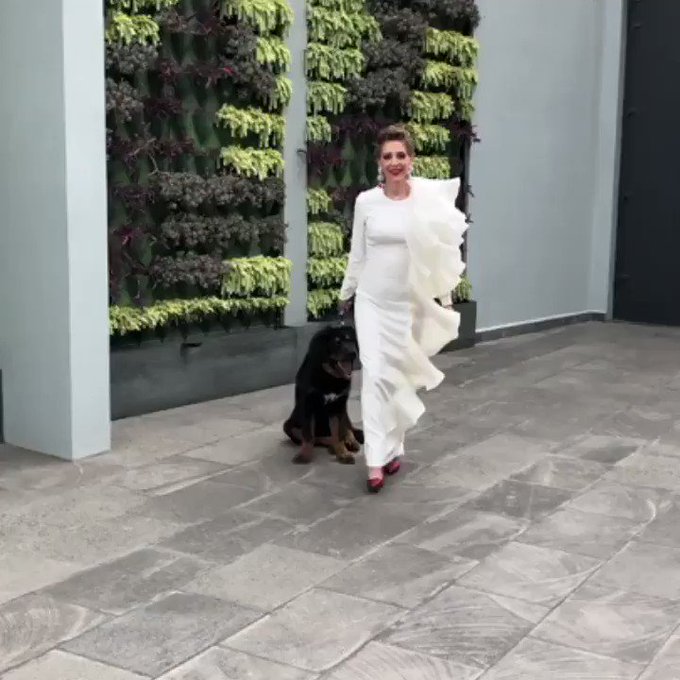 Video insertado