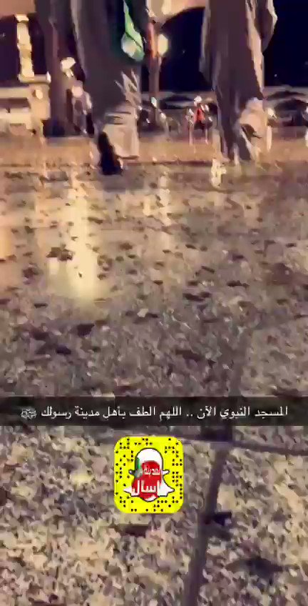 المسجد النبوي اليوم الفجر اجتياح كمية كبيرة من الجراد والحشرات