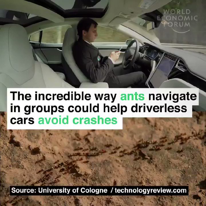 #AI INSPIRED BY #NATURE
#tech #digital #driverless #av #ml
@alvinfoo @kashthefuturist @FrRonconi @MikeQuindazzi @Paula_Piccard
@ronald_vanloon @jerome_joffre @jblefevre60 @evankirstel @mvollmer1 @HeinzvHoenen @chboursin @KaiGrunwitz @robvank @YuHelenYu @MHiesboeck @andy_lucerne