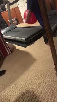 ランニングマシーンにボールを走らせたら想像を超えてきたwww