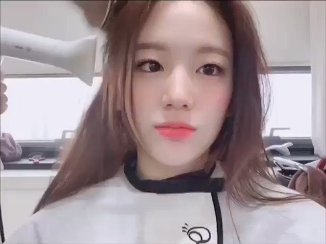 트위터, twitter - 딸플릭스
