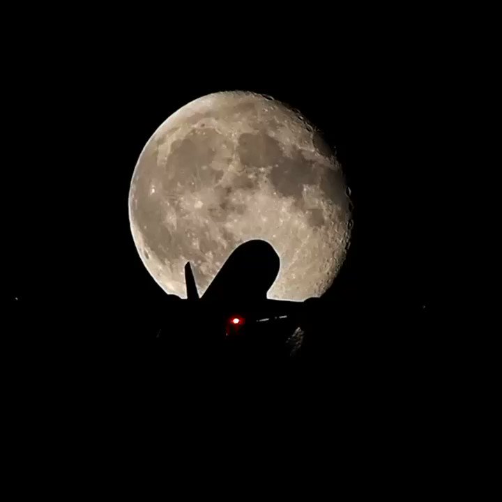 Moon Spotting @ ZRH Aug. 2015
...
@flyswiss
...
... ...
#swissinternational #airbusA320 #siluett #waketurbulence #wakevortex #vortex #lunarwave #moon #nightspotting #moonspotting #planespotting
#airportzurich #hellozurich #airport
#ZRH #lszh #airport #lovezrh #megaaviation