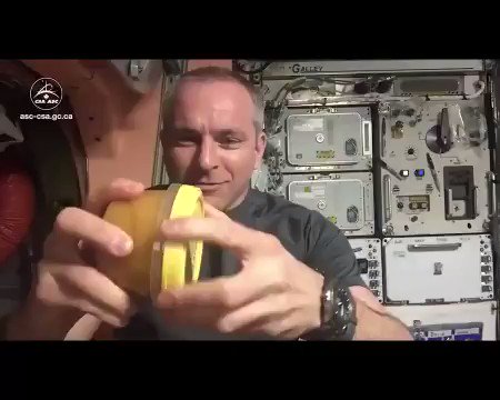 Un astronauta de la Estación Espacial Internacional muestra el extraño comportamiento de la miel en gravedad cero. 🍯👨🚀