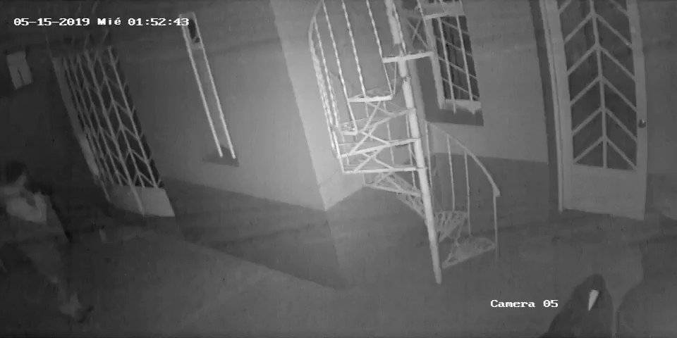 Este tipo trató de meterse a mi casa anoche, si alguien lo conoce avisen. Por suerte no pudo, pero ya traigo más miedo del que andaba de por si cargando.
