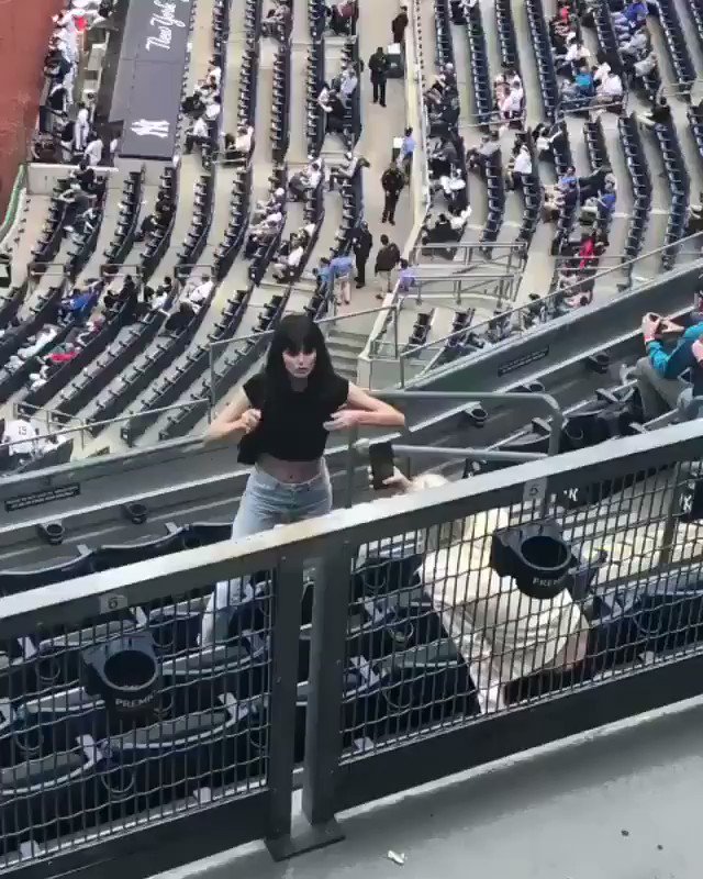 BIG baseball fan at the Yankees game today