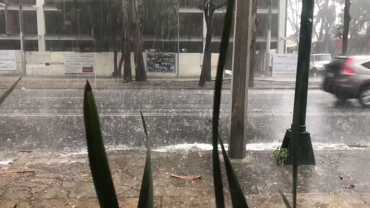 RT @Arq_Rojo:Después de días de contaminación, llega la lluvia con #granizo a Coapa. #CDMX