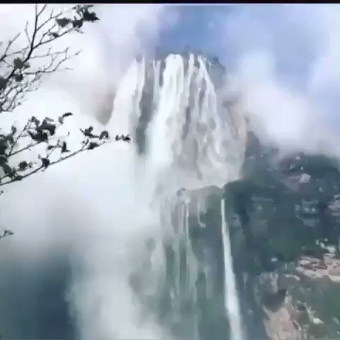 Video insertado
