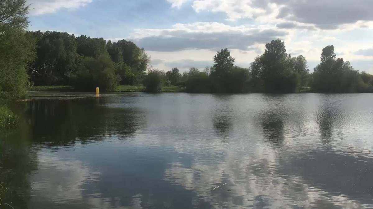 Back in open water for the 1st time since we finish the 4 way channel last September. tonight swim is at the midlands open water lake .#bigrickswimteam #openwaterswim #outdoorswimmer #wildswimming #swimming #tamworth #lake #eveningsun #loveswimming @outdoorswimming @DazHaleWM