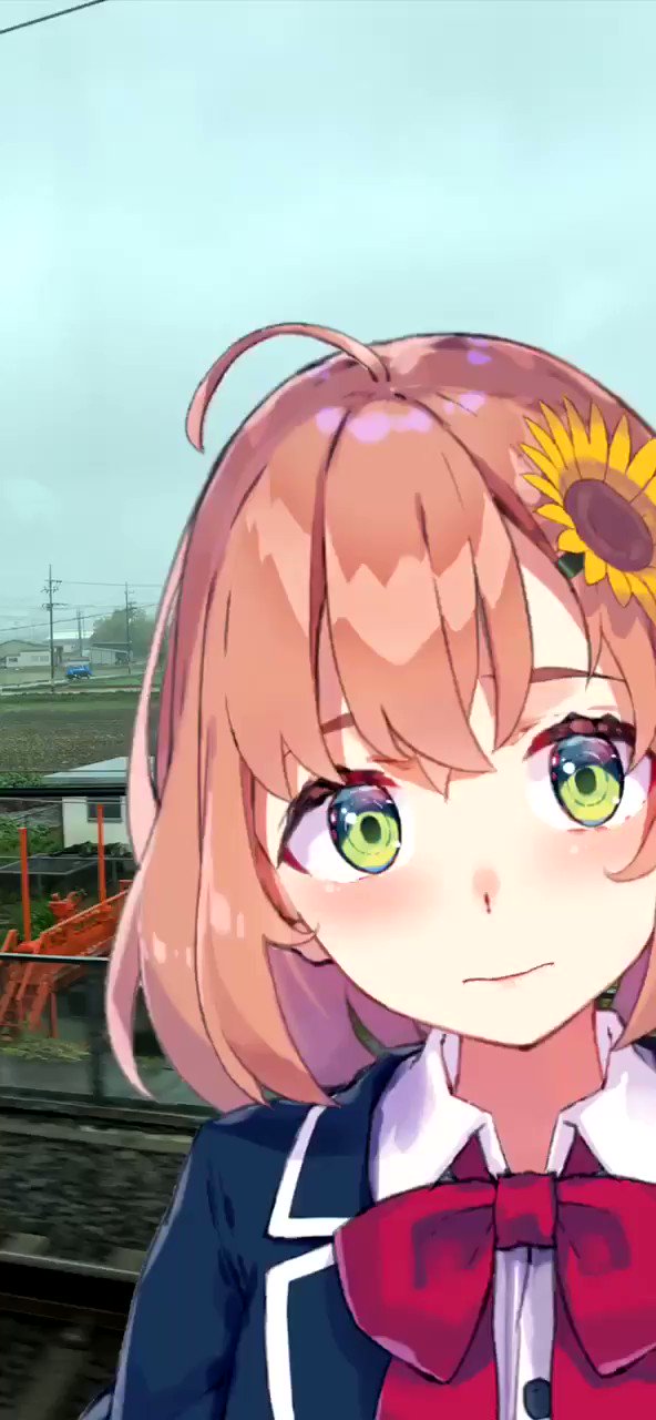 今年の新作から定番まで！ 本間ひまわり🌻 on  X: フラワー・ガーデニング