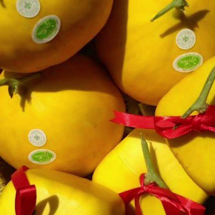 MELON UNIK DARI JAWA TIMUR BERBENTUK KOTAK DAN HATIOleh pembudidaya, buah unik itu diberi nama Melon Varietas Golden Langkawi Prima. Melon unik tersebut dikembangkan Dinas Pertanian Jawa Timur di Puspa Lebo, Kecamatan/Kabupaten Sidoarjo. #NewsOne #ViralNews
