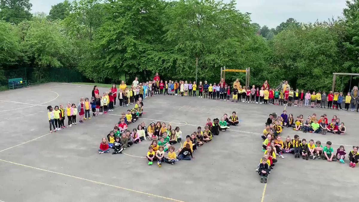 Come on you Horns!!! 🐝⚽️ @WatfordFC @WFCTrust @T_Deeney @AndreGray7 @BenFoster @hdgomes @gerardeulofeu @chalobah @wjhughes19 @Observer_Owl @AdamLeventhal #WatfordFC