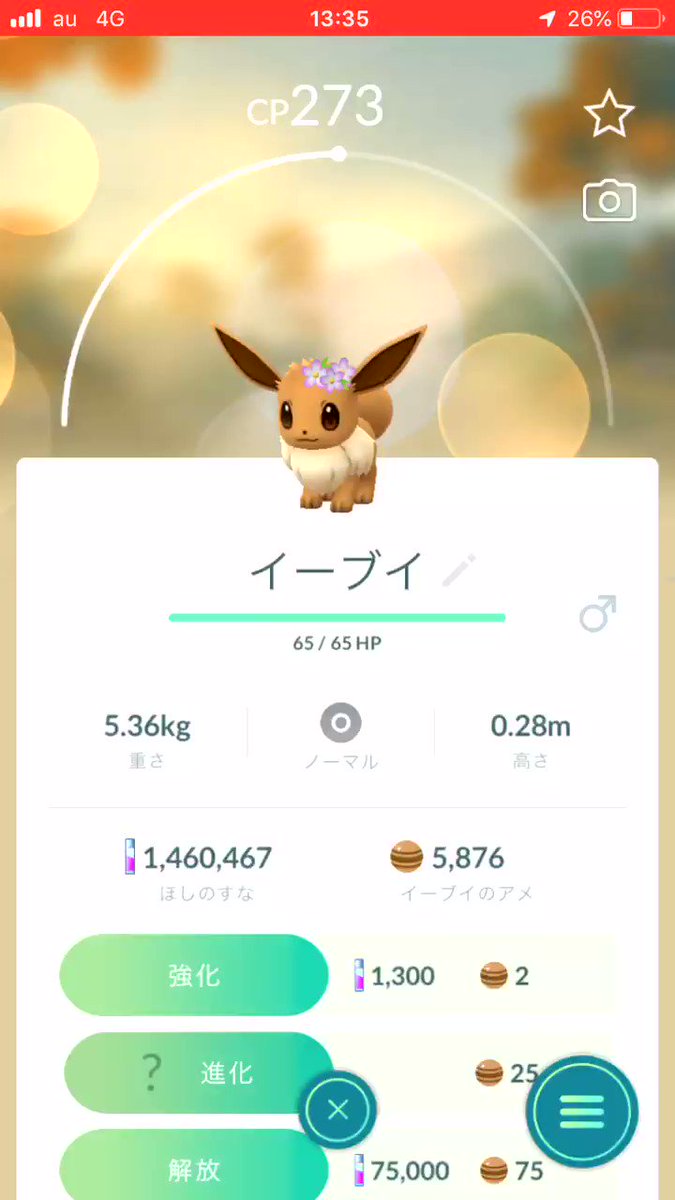 ポケモンgo 名前変更の裏技でグレイシアとリーフィアに進化 サンムーンと同じ方法で可能 ポケモンgo攻略まとめ速報