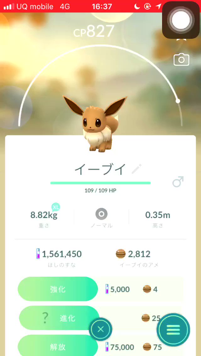 ポケモンgo リーフィアとグレイシアをルアーモジュールなしで進化させる裏技 Appbank