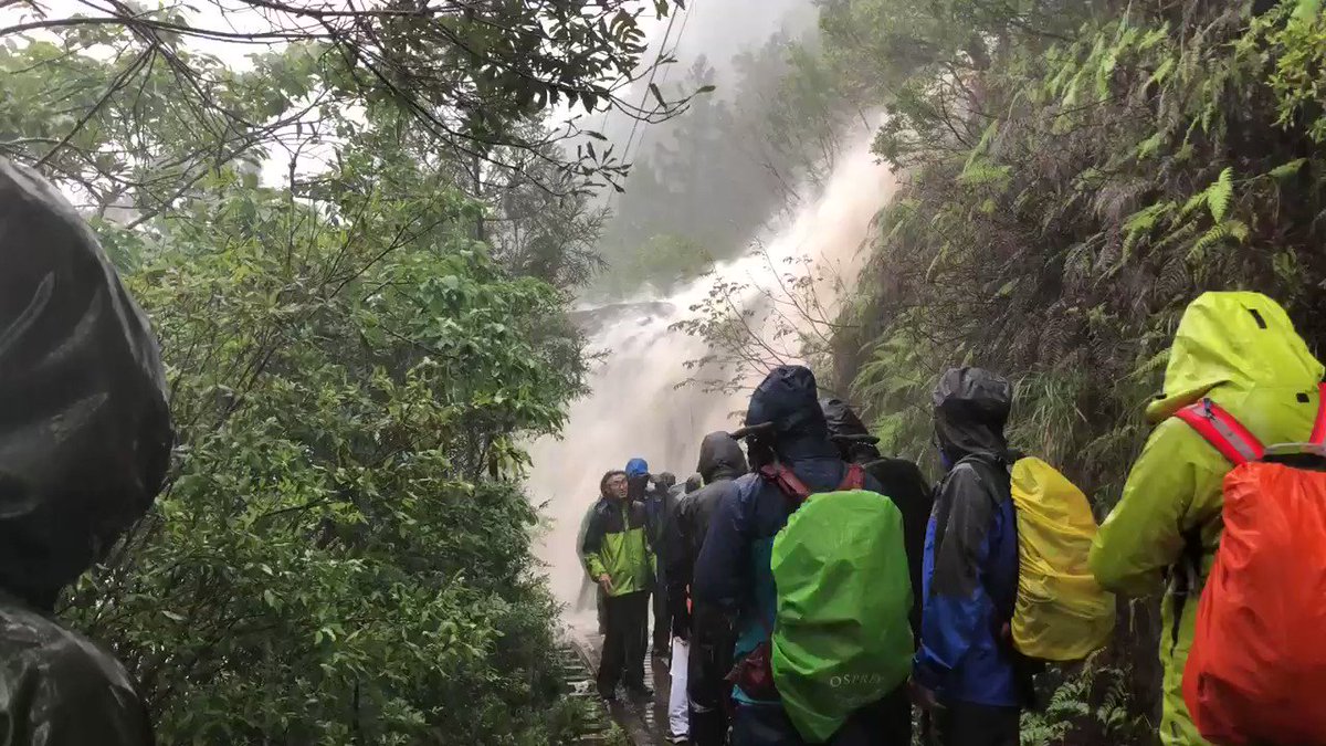 屋久島の大自然に圧倒される！！生きて帰れるのか？