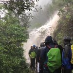 屋久島の大自然に圧倒される!生きて帰れるのか？