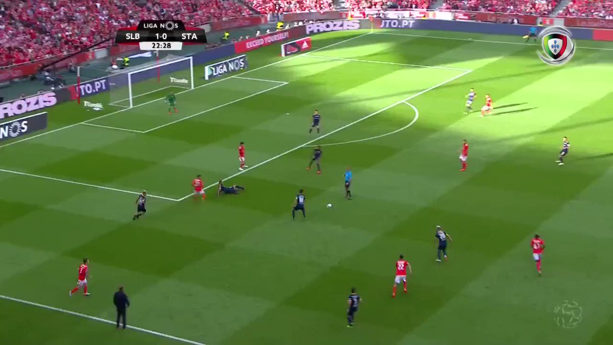Visão de Jogo's photo on Benfica