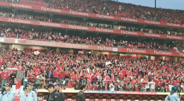 SL Benfica's photo on Benfica