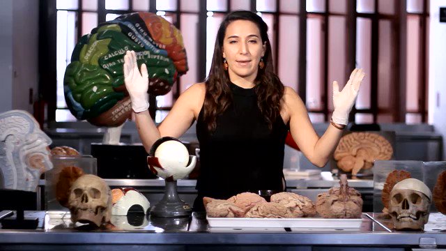 ¿Alguna vez te has preguntado qué hay detrás del enigmático gesto de la Mona Lisa?Descúbrelo en nuestra nueva cápsula. Puedes verla completa en el siguiente enlace: http://bit.ly/2VEwKoh