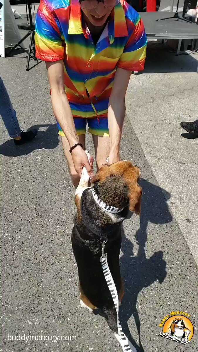 Adoptapalooza Was Soooooo PAWSOME!! Thank you @RockandRawhide !!! It was so great to get on stage and talk about my story and encourage people to #AdoptDontShop !! We had fun today! #buddymercury #happy #Dancer #dance #sundayvibes #adoptapalooza2019