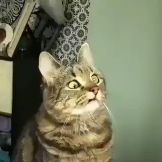 Bran na série inteira ... Do nada me vira rei, sai fora não era ele o corvo de três olhos, o sem sentimento, sem desejo SEEEM NADAAA #GameOfThrones
