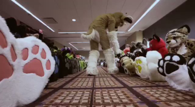 Kinternet's photo on #PawDay