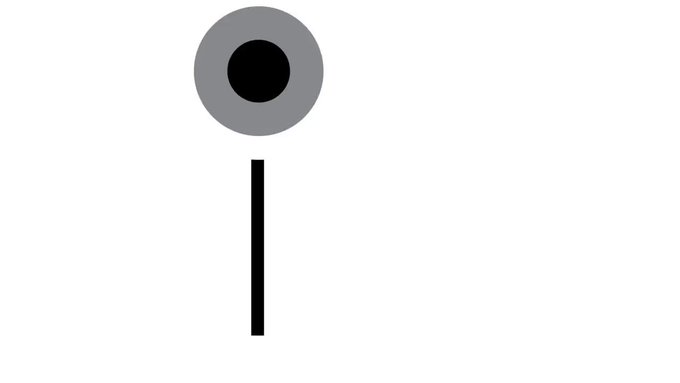 Embedded video