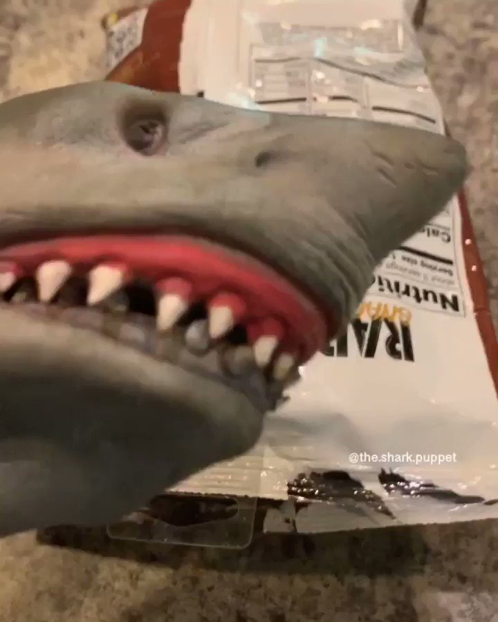 RT @thesharkpuppet: Shark Puppet tries cardi b drugged chips https://t.co/f3M10B7zih