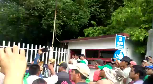 Video insertado