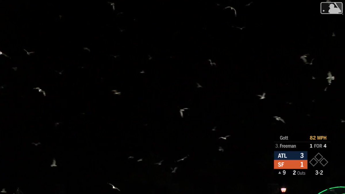The Birds (1963)