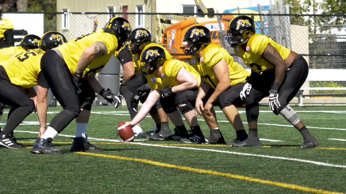 Hamilton Tiger-Cats @Ticats