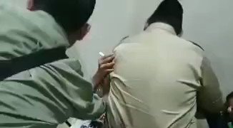 Embedded video