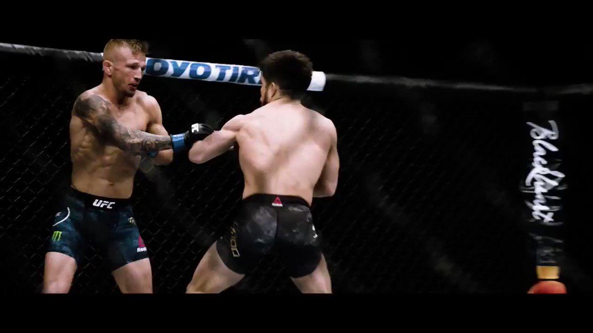 El cinturón peso gallo tendrá nuevo campeón en #UFC238 este 8 de Junio con Cejudo 🆚 Moraes
Además Shevchenko 🆚 Eye y Ferguson 🆚 Cowboy‼️
Vete preparando 👊🏼 http://bit.ly/2wgMTks