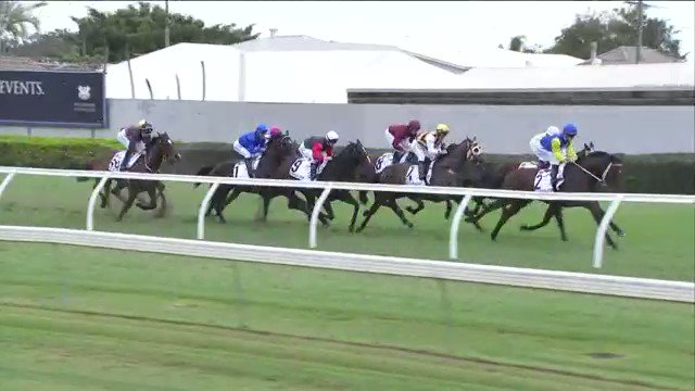 It's #ThrowbackThursday and we're only going back 12 months to last year's Kingsford-Smith Cup when Impending lunged at the line to defeat Le Romain in a thriller! Will @godolphin be victorious again on Saturday? Trekking, Home Of The Brave and Encryption all look a chance!