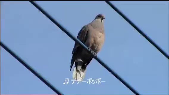 田舎という言葉を使わないで田舎を表現 の評価や評判 感想など みんなの反応を1時間ごとにまとめて紹介 ついラン