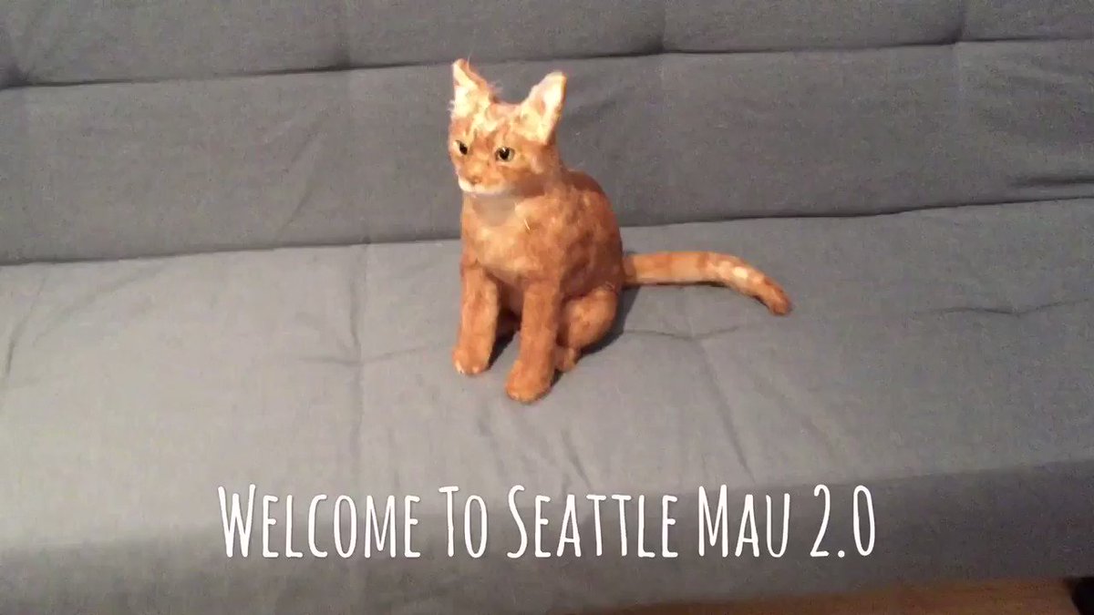 Welcome to Seattle Mau 2.0! Designed in the eye of @MauSupercat, Mau 2.0 is on an epic trip to visit as many locations as he can. Follow his adventures at @0_mau2 and #JourneyOfFakeMau. Here was our introduction to our new friend! (sound on) - Hazel and Remy (tagging @aurora3s)
