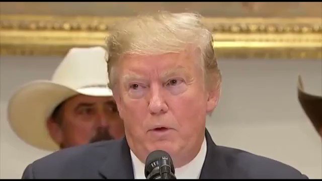 ๐ฃ๏ธ:"The Constitution says treason is punishable by death...Who specifically are you accusing of treason?"
DJT: "Well I think a number of people...'Should she lose, we'll have an insurance policy and we'll get this guy out of office'...That's what they meant. That's treason."